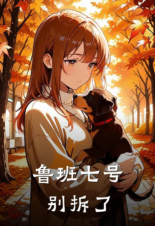 鲁班七号别拆了