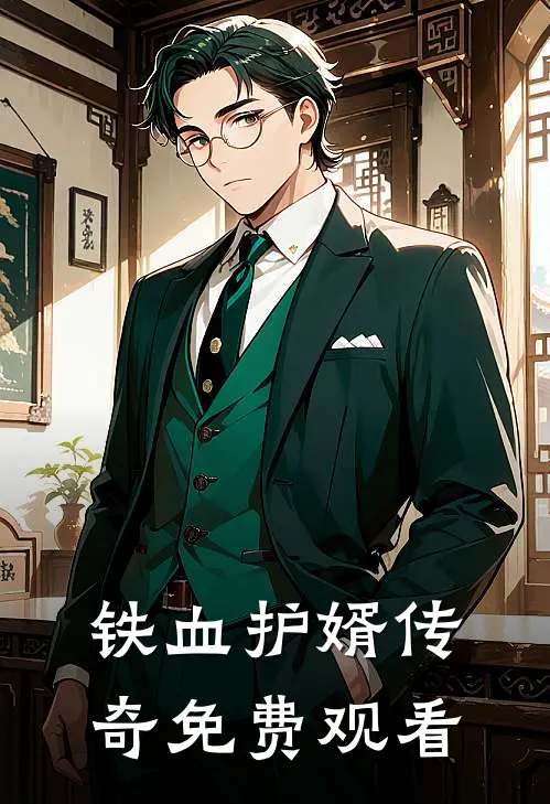 铁血护婿传奇免费观看